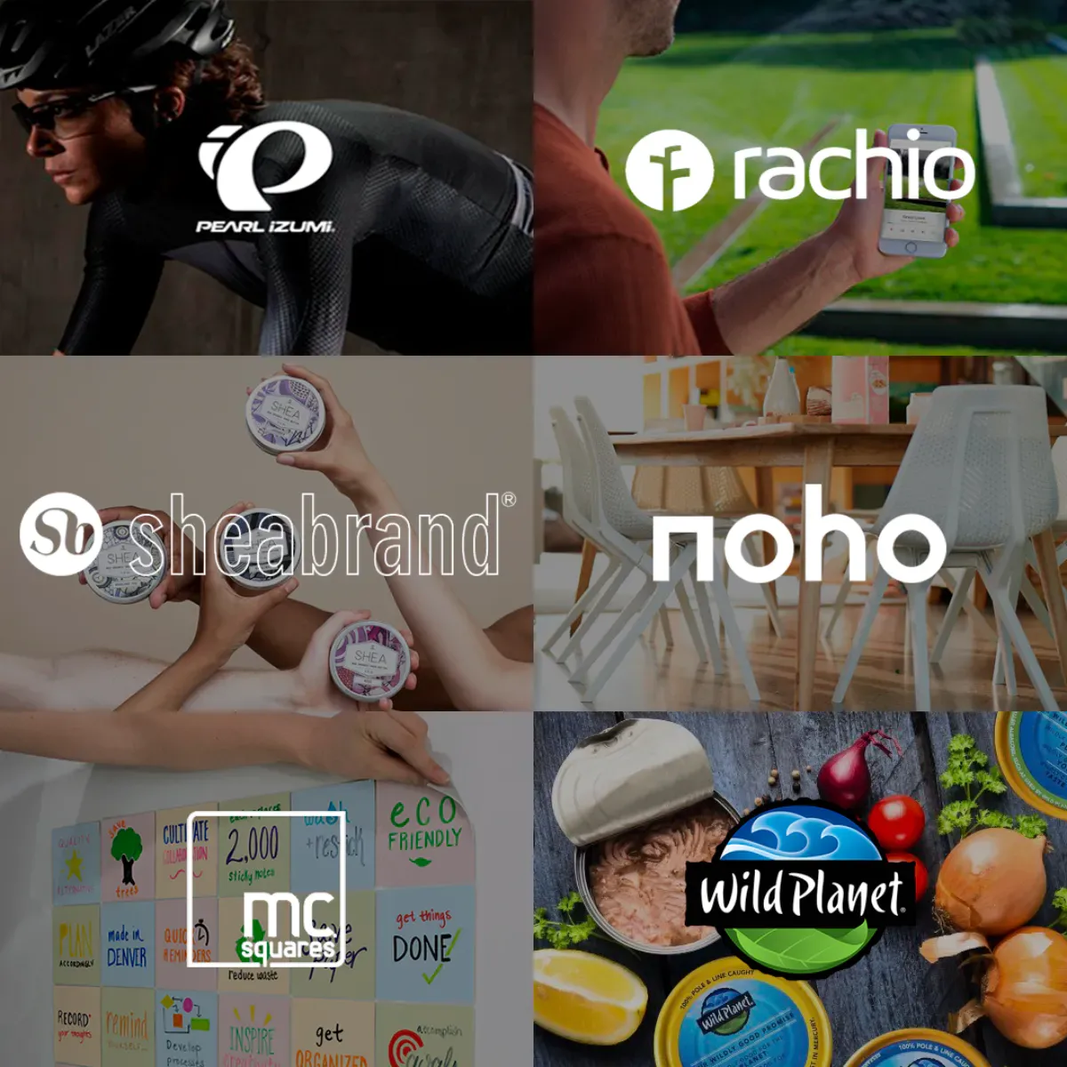 Why Sustainable Businesses are the Future